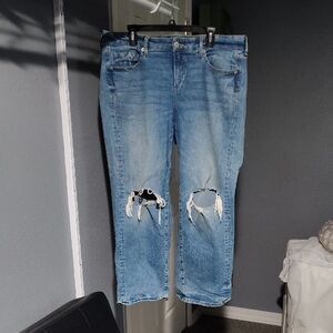 Torrid Blue Wide Leg Jeans